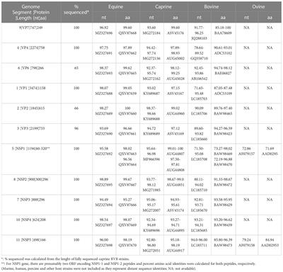 Genetic and phylogenetic relationship of an American caprine rotavirus B strain with equine rotavirus B